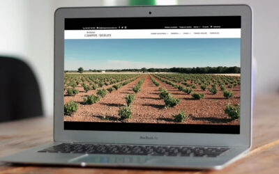 Bodegas Campos Reales lanza su nueva web