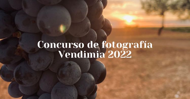 Edición 2022 del «Concurso de Fotografía» Vendimia Bodegas Campos Reales